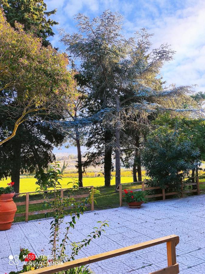 Agriturismo Pian Dell'Osa Villa Montiano  Exterior foto
